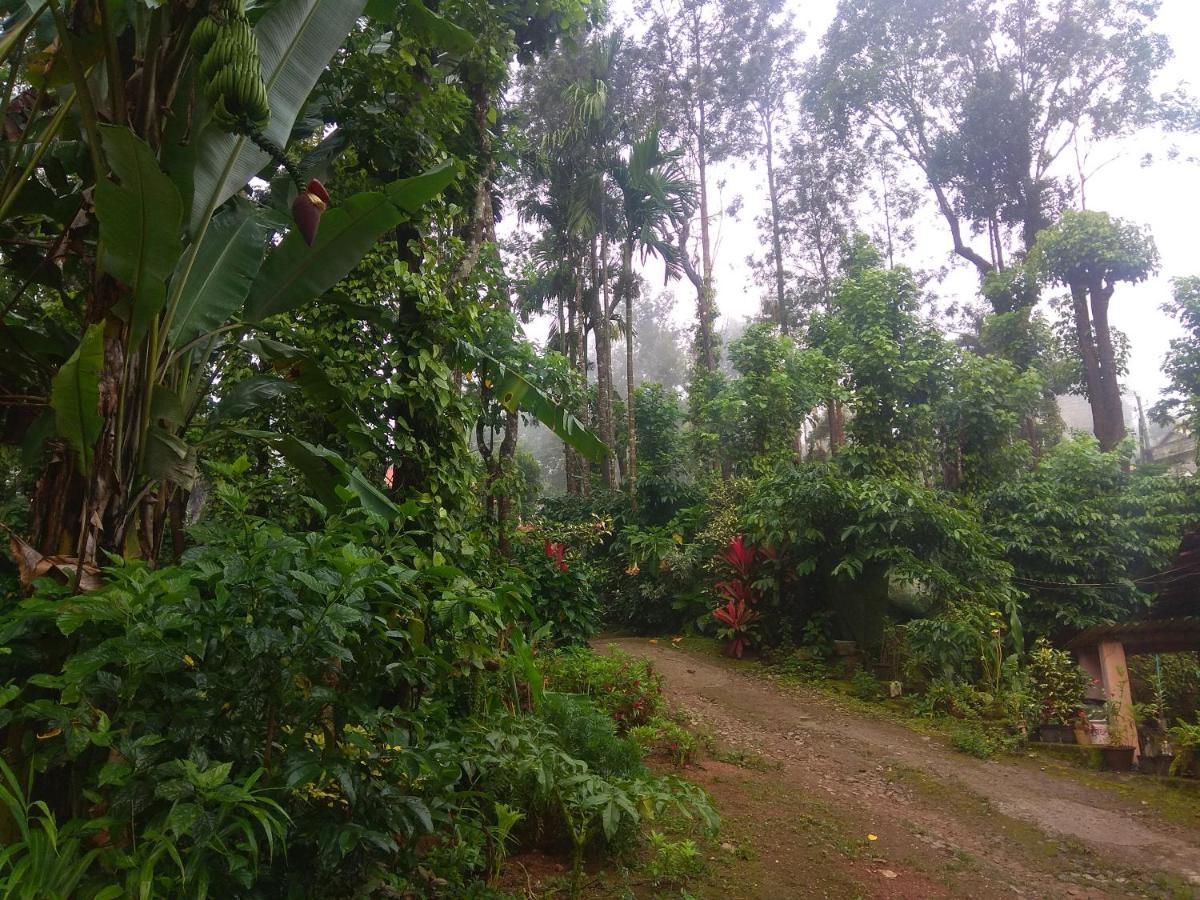 Dreams Home Estate Stay Suntikoppa Exterior photo