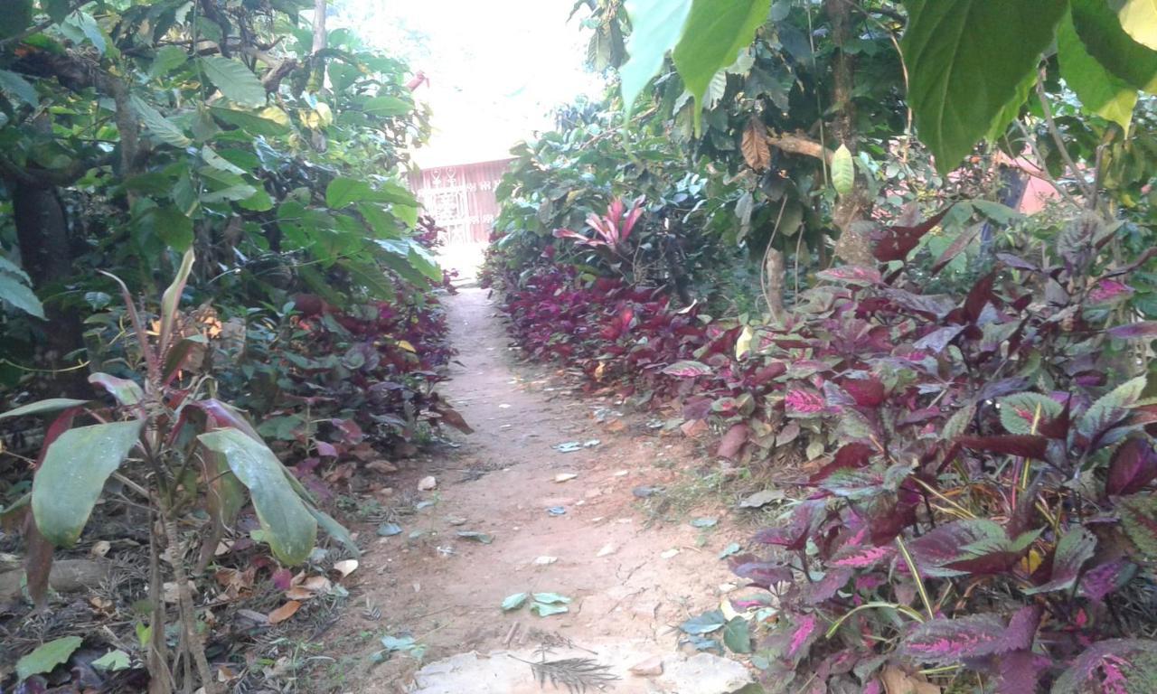 Dreams Home Estate Stay Suntikoppa Exterior photo