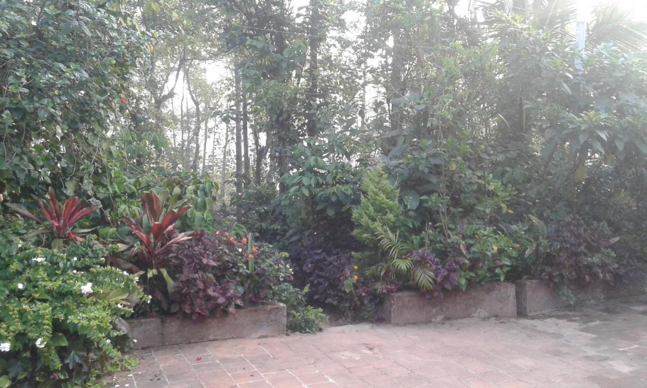Dreams Home Estate Stay Suntikoppa Exterior photo