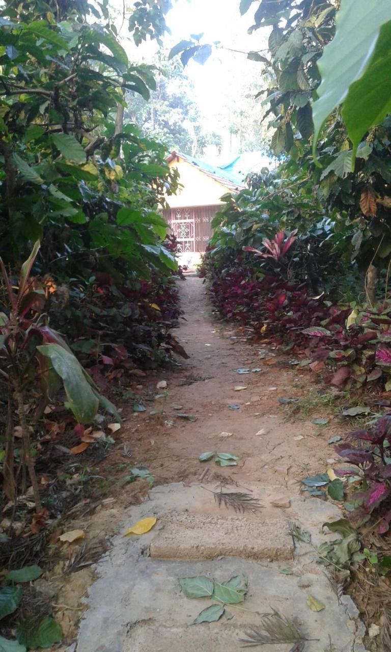 Dreams Home Estate Stay Suntikoppa Exterior photo